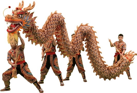 Un largo y colorido dragón, decorado con escamas detalladas, es sostenido y manipulado por varios intérpretes vestidos con trajes tradicionales a juego, quienes utilizan pértigas para darle movimiento a la figura durante la representación